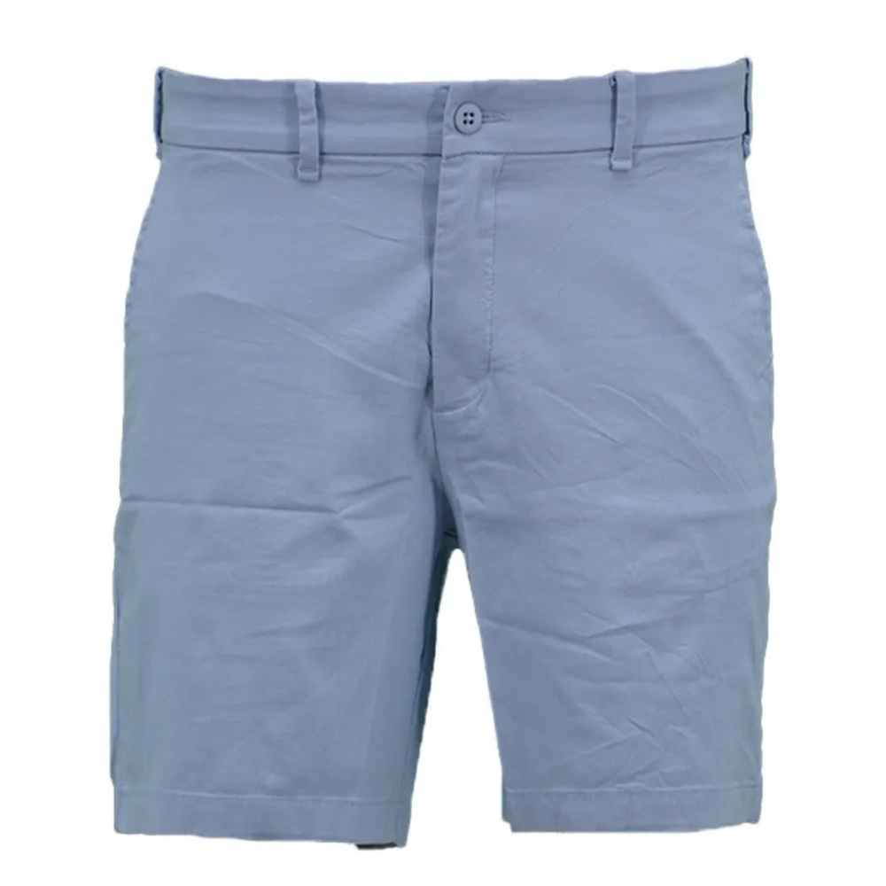 Abercrombie & Fitch Blue Flat Front Shorts